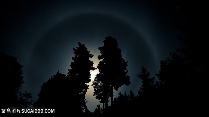 大树唯美风景画壁纸