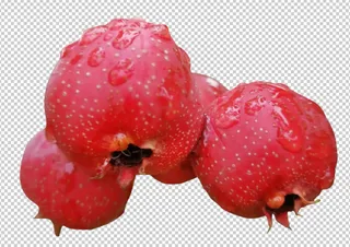 山楂免扣素材