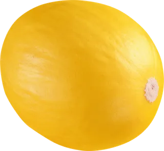 哈密瓜免抠素材 (1)