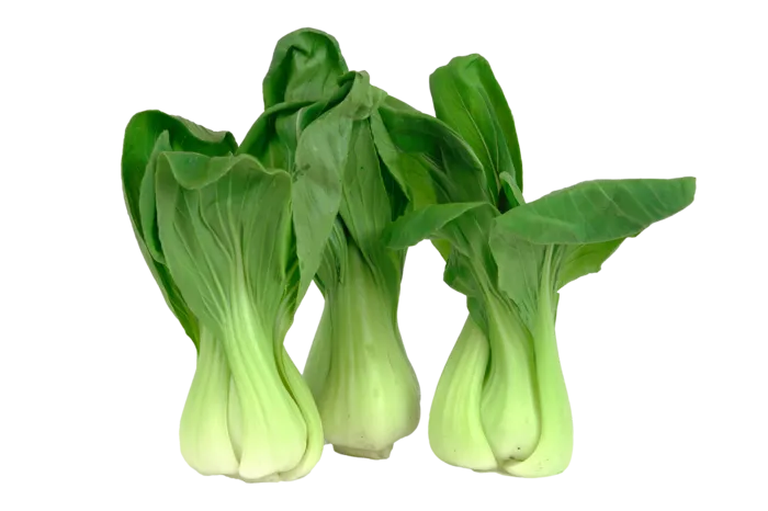 上海青 (23)超市商品白底图免抠实物摄影png格式图片透明底