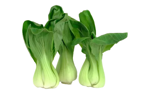 上海青 (23)超市商品白底图免抠实物摄影png格式图片透明底