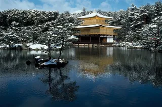 湖边松树林前的楼阁