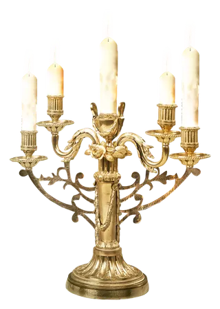 欧式优雅精致复古风格油画质感色彩手绘花卉植物树叶插画PNG素材2