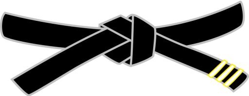 跆拳道 PNG免抠(1280x497)