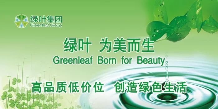 绿叶形象墙psd模版下载