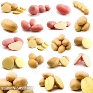 土豆系列 - 一堆堆新鲜的土豆