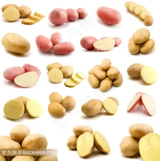 土豆系列 - 一堆堆新鲜的土豆