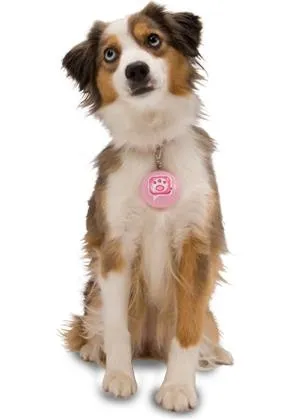 狗 PNG免抠(298x420)