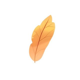叶子树叶免抠