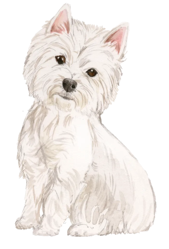 狗狗水彩画插画免扣素材可爱宠物狗