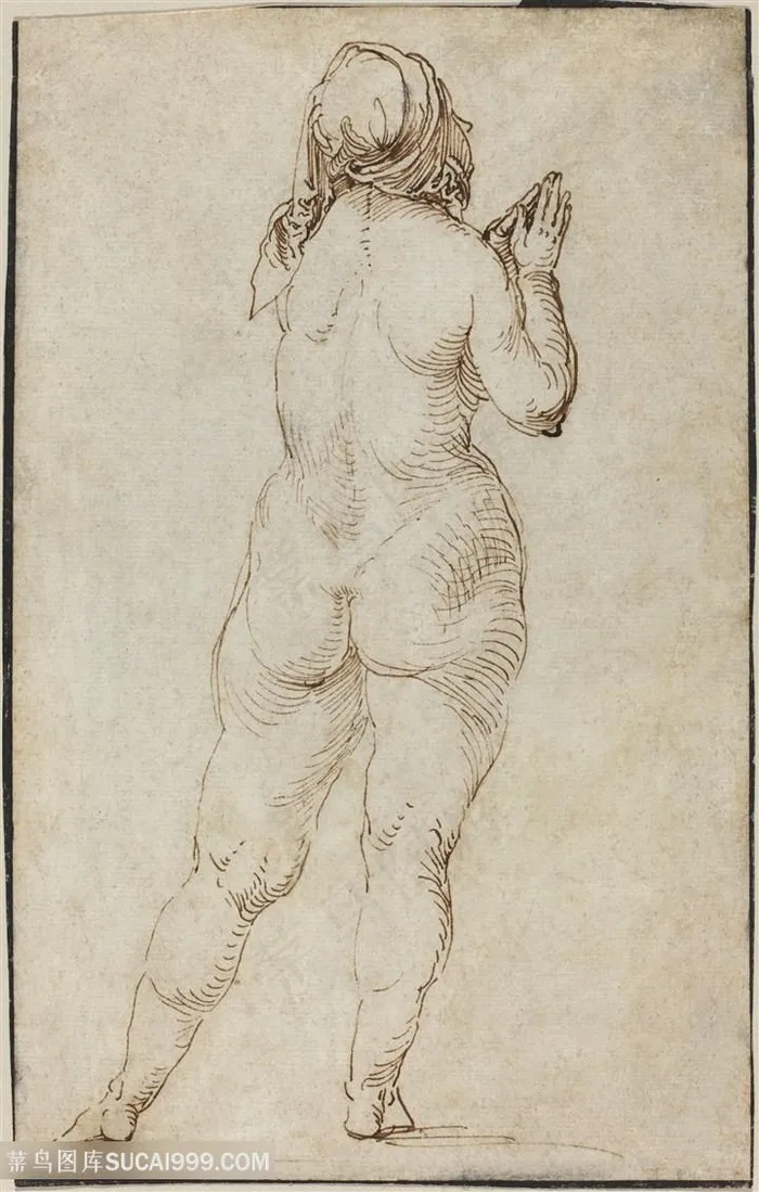 丢勒手绘女性背面插画
