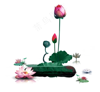 唯美古风水彩手绘荷叶荷花古典水墨荷花