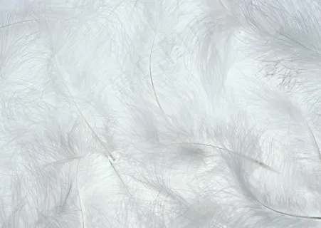 各式背景 144 各式背景 144