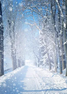 冬日公路上的积雪