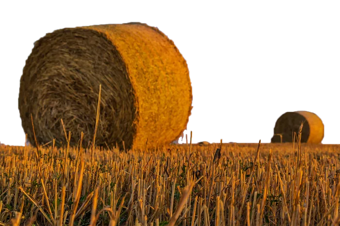 稻草卷现代农业