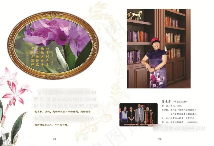 四季花卡特兰