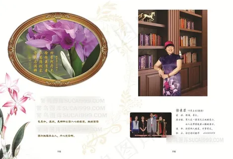 四季花卡特兰 四季花卡特兰