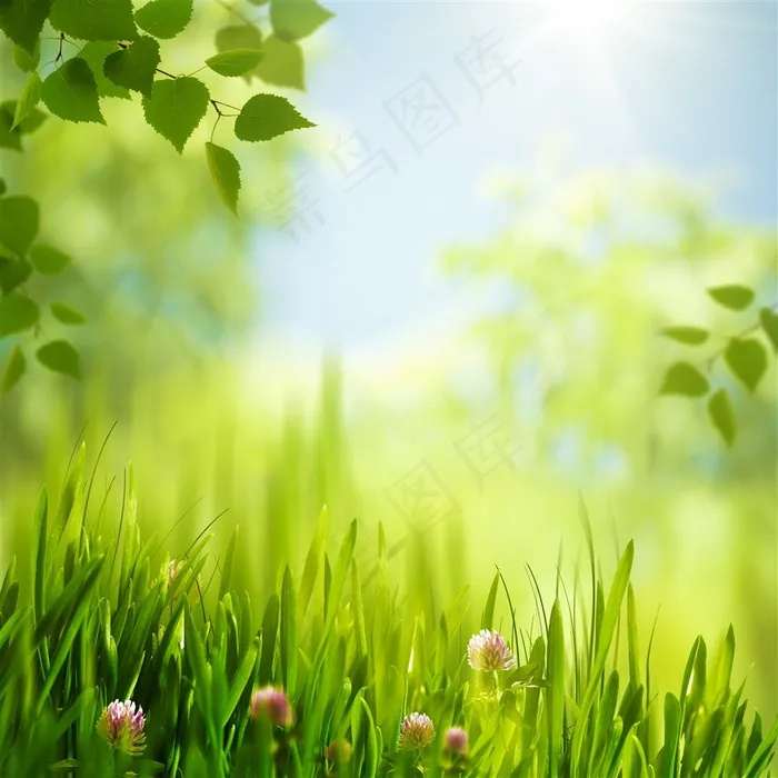 绿色清新草地风景图片