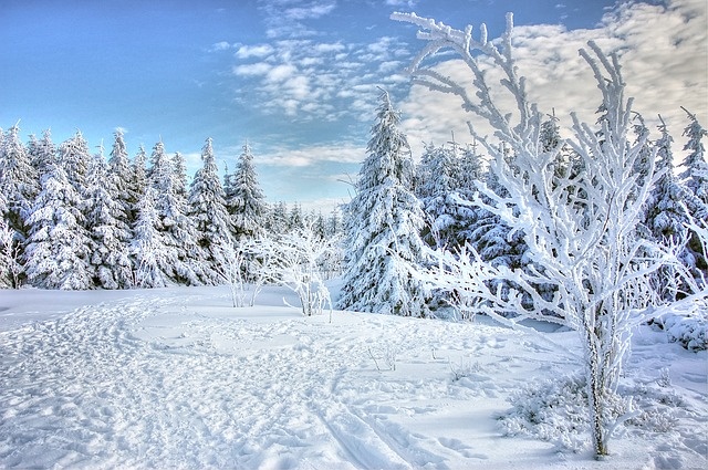 冬天白雪背景风景