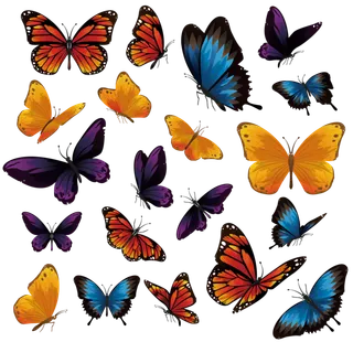 彩色矢量胡蝴蝶