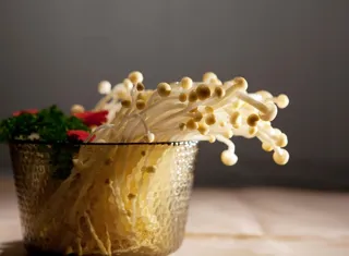 蘑菇香菇金针菇杂菇菌类美食素菜