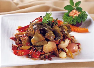 0911CC-131干煸水库甲鱼