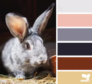 动物配色色卡色彩搭配