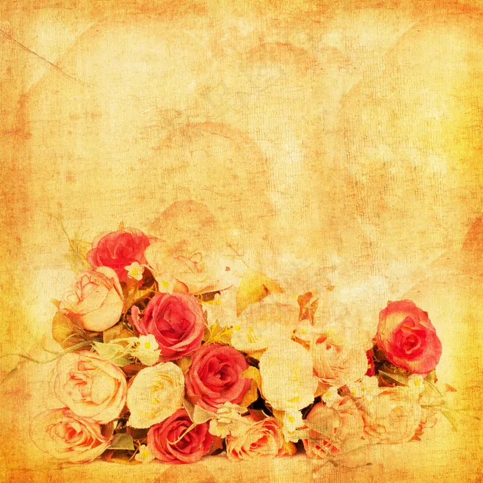 玫瑰花唯美图片