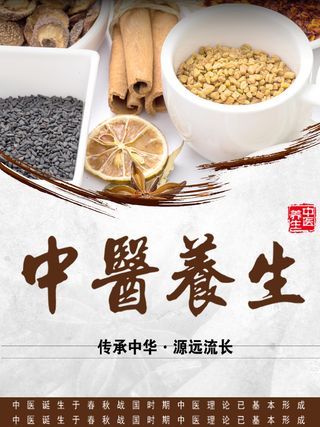 中医养生中医文化中药海报