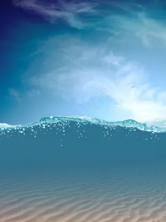 半水下摄影图片