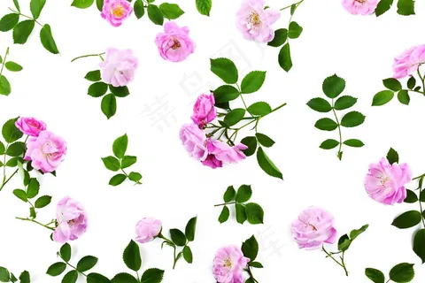 玫瑰花朵底纹背景图片 玫瑰花朵底纹背景图片