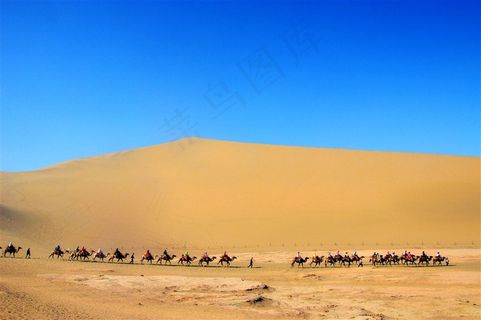 沙漠里的骆驼商人