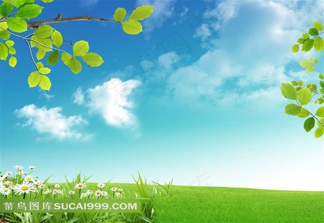 唯美绿草春天风景图片