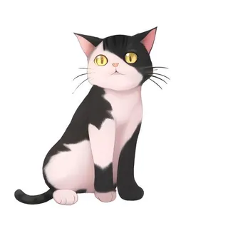 猫宠物动物免抠