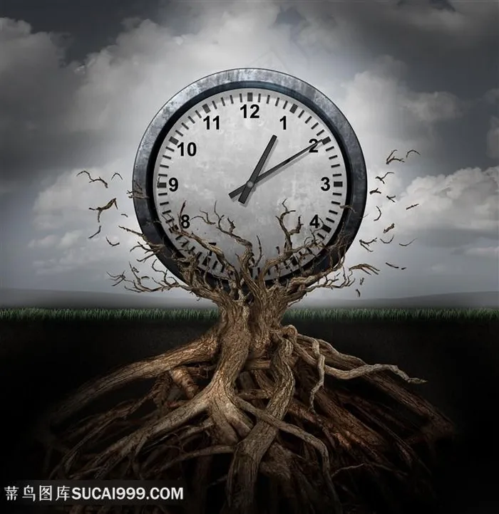 树根广告设计高清图片