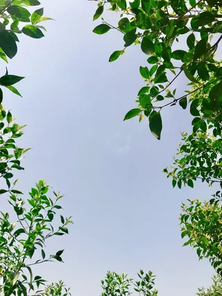 是夏天啊/风景/自然/摄影/绿色
