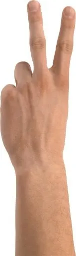 手 PNG, 手图像免费免抠(674x2249)