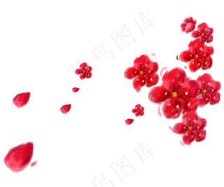 大红花喜庆飘落美丽