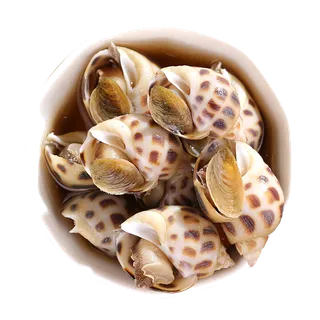 花螺 (2)海鲜超市商品红酒白底图免抠实物摄影png格式图片透明底