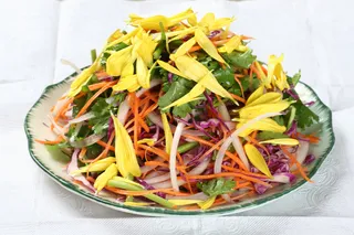 32 重阳鲜菊-随园