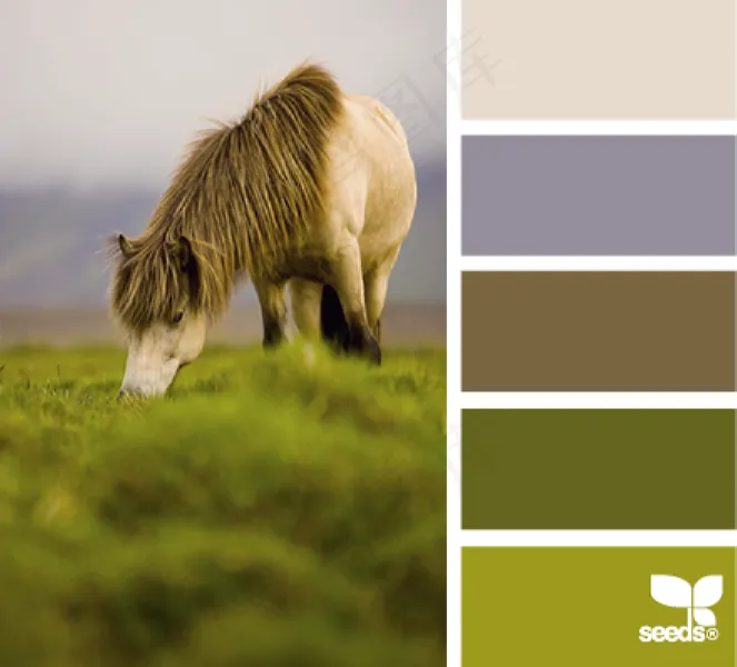 动物配色色卡色彩搭配