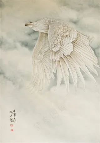 纵横天宇老鹰工笔画