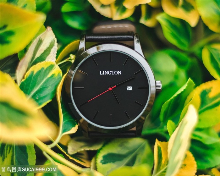 树叶中的简约手表图片钟表图片