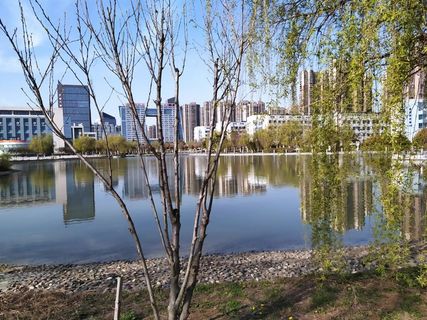 春天校园风光湖水阳光