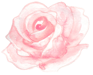 唯美森系手绘水彩花朵 免抠