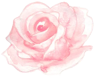 唯美森系手绘水彩花朵 免抠