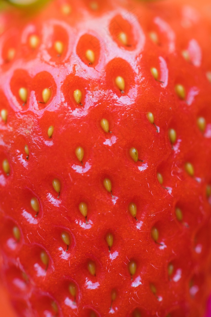 红芭蕾草莓特写图片