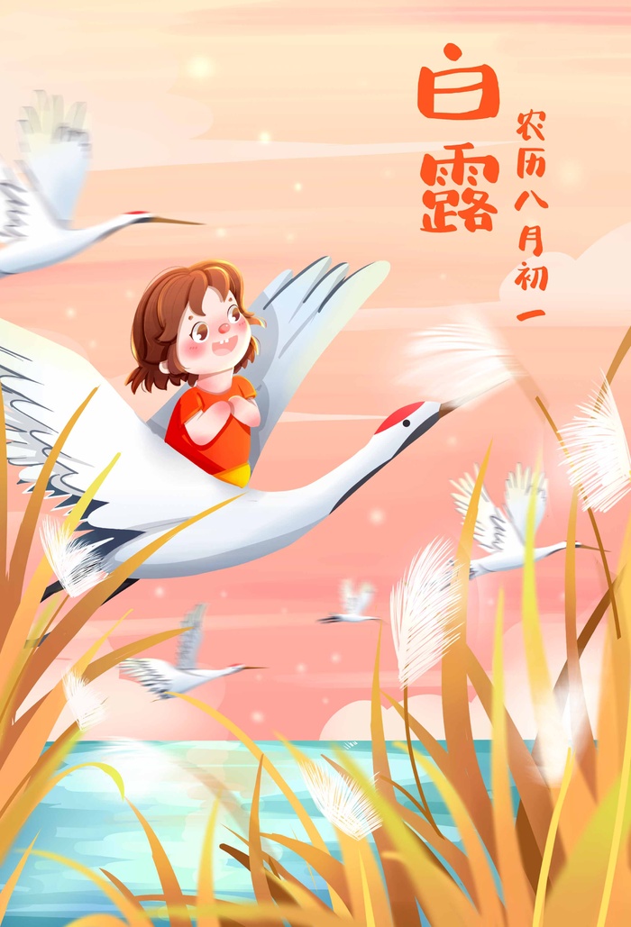 创意白露节气促销海报素材psd模版下载
