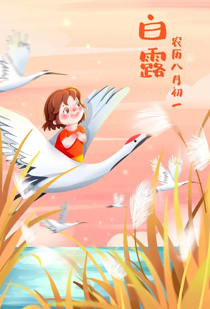 创意白露节气促销海报素材psd模版下载