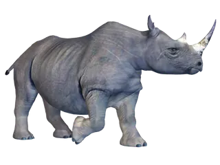 犀牛动物园动物设计素材森林野生